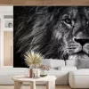 Papier Peint Panoramique Lion Nature