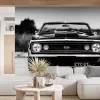 Papier Peint Panoramique Chevelle SS