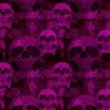 Papier Peint Panoramique Crane Skull Violet