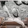 Papier Peint Panoramique Rugby