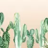 Papier Peint Panoramique Cactus