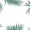Papier Peint Panoramique Feuilles Palmier