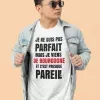 T-shirt homme personnalisés - Humour - "Je ne suis pas parfait..."