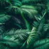 Papier Peint Panoramique Feuilles de Palmier 3