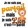 Body personnalisé – "Je ne suis pas parfait... Je suis lion"