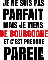 T-shirt homme personnalisés - Humour - "Je ne suis pas parfait..."