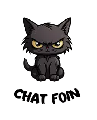 T-shirt homme personnalisé - Humour - "CHAT FOIN"