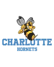 T-shirt homme personnalisé - Sport - "Charlotte hornets"