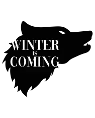 T-shirt homme personnalisé - Série - "Winter is coming"