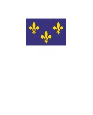 T-shirt homme personnalisé - Villes et voyages - "l'Île-de-France"