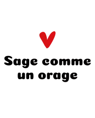 Bavoir personnalisé – "Sage comme un orage"