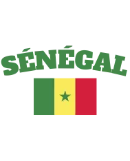 T-shirt homme personnalisé - Football - "Maillot de foot SÉNÉGAL"