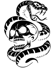 T-shirt homme personnalisé - Vintage - "Snake 'n death"