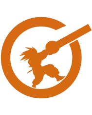 T-shirt homme personnalisé - Dessins animés et manga - "Ultimate Fighter"