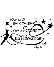 T-shirt homme personnalisé - Citations Films et séries - "Rêve ta vie en couleur"