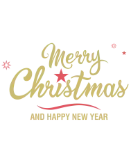 T-shirt homme personnalisé - Évènements - "Merry christmas"