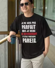 T-shirt homme personnalisés - Humour - "Je ne suis pas parfait..."