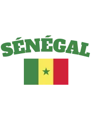 T-shirt femme personnalisé - Football - "Maillot de foot SÉNÉGAL"