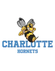 T-shirt femme personnalisé - Sport - "Charlotte hornets"