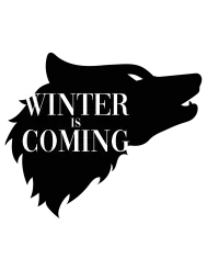 T-shirt femme personnalisé - Série - "Winter is coming"