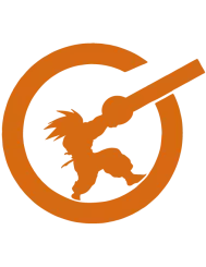 T-shirt femme personnalisé - Dessins animés et manga - "Ultimate Fighter"