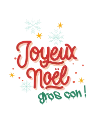 T-shirt femme personnalisé - Évènements - "Joyeux Noël gros con !"