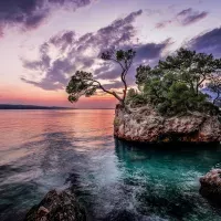 Affiches personnalisées nature