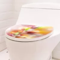 Autocollants WC Toilettes