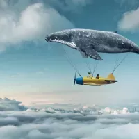 Affiches personnalisées enfant