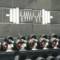 Stickers Musculation