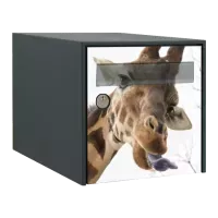 Stickers boîte aux lettres Animaux de la savane