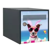 Stickers boîte aux lettres Chiens