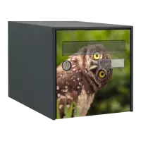 Stickers boîte aux lettres Animaux de la forêt