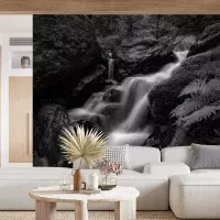 Papier peint noir et blanc