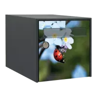 Stickers boîte aux lettres Animaux du jardin