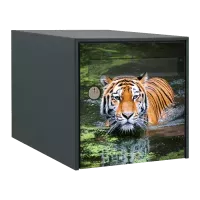 Stickers boîte aux lettres Animaux de la jungle