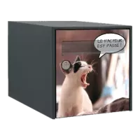 Stickers boîte aux lettres Chats
