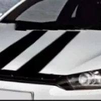 Stickers Bande Viper