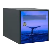 Stickers boîte aux lettres Animaux de la mer