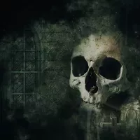 Affiches personnalisées horreur