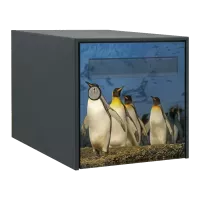 Stickers boîte aux lettres Animaux de la banquise