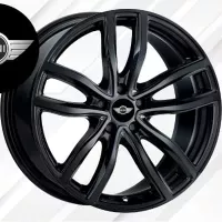 Stickers de Jantes Mini