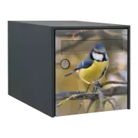 Stickers boîte aux lettres Oiseaux