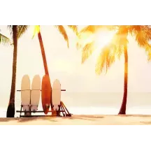 Papier Peint Panoramique Panoramique Surf Palmier
