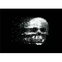 Papier Peint Panoramique Art Tête de Mort Skull