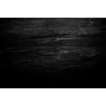 Papier peint Panoramique Bois Noir