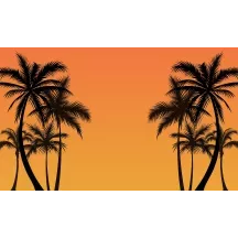 Papier Peint Panoramique Palmier Ombre 2