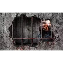 Papier Peint Panoramique Mur Prison Monstre