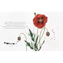 Papier Peint Panoramique Fleurs Coquelicots