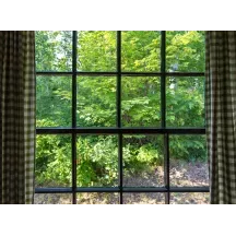 Papier Peint Panoramique Trompe l'Oeil Foret Fenêtre 2